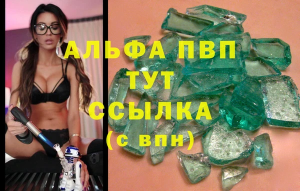 стаф Бородино