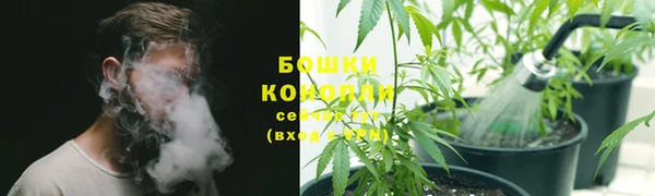 стаф Бородино