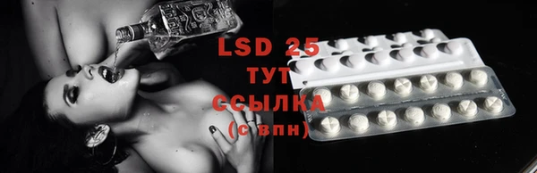 стаф Бородино