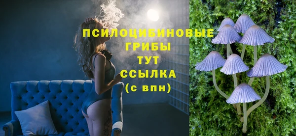 стаф Бородино
