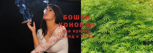 стаф Бородино