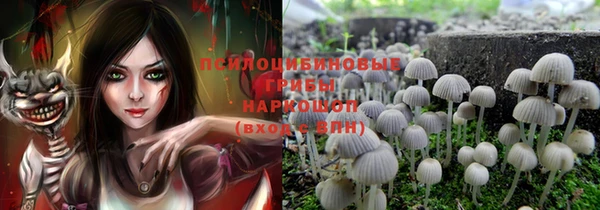 герыч Бронницы