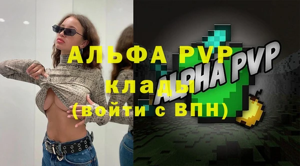 стаф Бородино