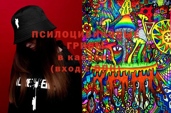 герыч Бронницы