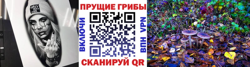 купить  сайты  Колпашево  Галлюциногенные грибы прущие грибы 